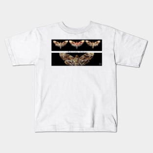 Acherontia lachesis (Death's Head Moth) Kids T-Shirt